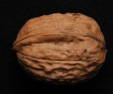 walnut benefits for skin