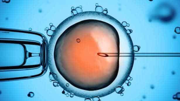 invitro fertilisation